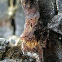 020909-centennial park-045